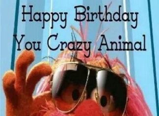 Happy Birthday Wiches : Happy Birthday You Crazy Animal!