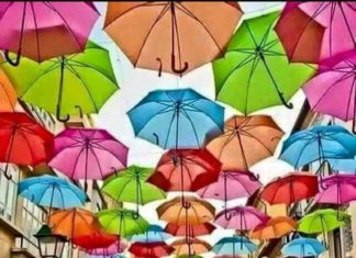 Happy Birthday Wiches : Happy Birthday ☂☂☂☂☂☂