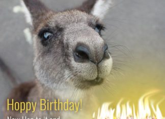 Happy Birthday Wiches : Hoppy Birthday! Now hop to it and blow those candles before you set the place on…