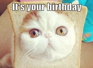 Happy Birthday Wiches : Its Your Birthday Pictures, Photos, and Images for Facebook, Tumblr, Pinterest, …