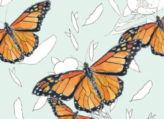 Happy Birthday Wiches : Monarch Butterflies Happy Birthday