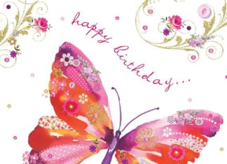 Happy Birthday Wiches : Niece Mary loves butterflies …