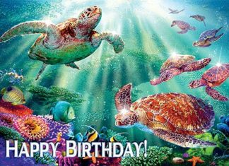 Happy Birthday Wiches : hawaiian birthday cards for facebook | Turtle Voyage – Hawaiian Happy Birthday G…