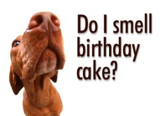 Happy Birthday Wiches : Happy Birthday …