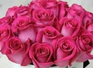 Happy Birthday Wiches : Happy Birthday