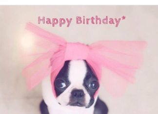 Happy Birthday Wiches : Happy Birthday