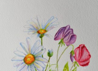 Birthday Gifts Inspiration : April birthday flower, Daisy and Sweet Pea flowers, original watercolor painting…