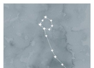 Birthday Gifts Inspiration : Sticker poissons zodiaque Constellation imprimable par FebruaryLane