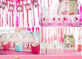 Birthday Party Inspiration : ADORABLE Pink ELMO themed birthday party for girls via KarasPartyIdeas.com – THE…