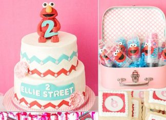 Birthday Party Inspiration : Elmo Birthday Party For Girls