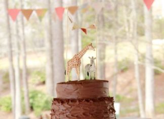 Birthday Party Inspiration : Girly Safari themed 5th birthday party with tons of cute jungle decorating ideas…