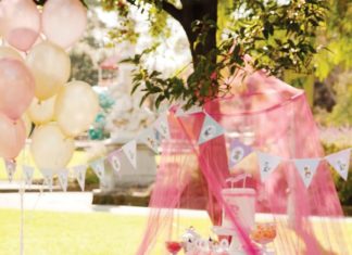 Birthday Party Inspiration : Pink Vintage Circus Birthday