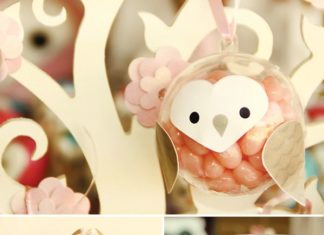 Birthday Party Inspiration : Sweet & Dreamy Owl Party Dessert Table