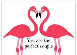 Birthday Quotes : Happy Anniversary to the Perfect Couple