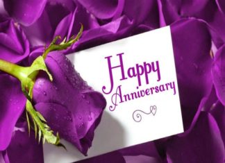 Birthday Quotes : Marriage Anniversary Purpal Rose 1080p Images – Festival Chaska