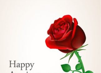 Birthday Quotes : Red Rose Anniversary Card