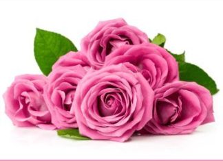 Birthday Quotes : To a Beautiful Couple! Happy Anniversary Card