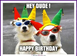 Happy Birthday Wiches : Funny Dog Birthday Meme: Hey Dude! Happy Birthday