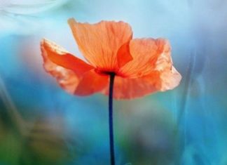 Happy Birthday Wiches : Happy Birthday Cards Images