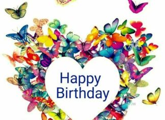 Happy Birthday Wiches : Happy Birthday, dear Donna!!!