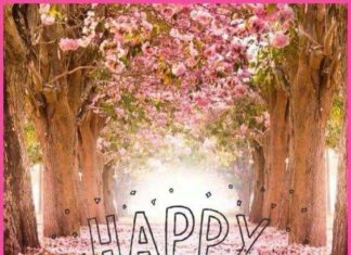 Happy Birthday Wiches : Happy Happy Birthday Traci