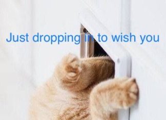 Happy Birthday Wiches : Happy birthday simme