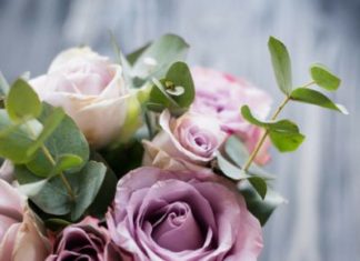 Happy Birthday Wiches : Have a beautiful birthday.