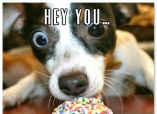 Happy Birthday Wiches : Lisa