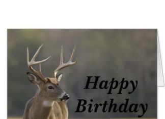 Happy Birthday Wiches : Smoky Mountain Buck Animal Hunting Happy Birthday Greeting Card