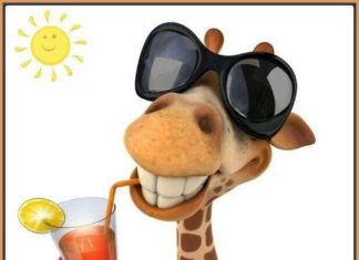 Happy Birthday Wiches : Wensen