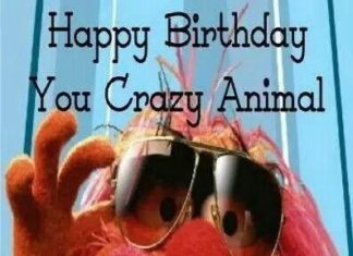 Happy Birthday Wiches : You Crazy Animal You… Happy Birthday ALS… :)