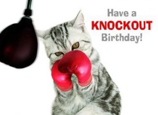 Happy Birthday Wiches : happy birthday poes – Google zoeken