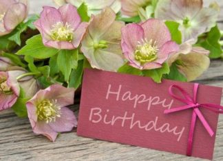 Happy Birthday Wiches : happy birthday,joyeux anniversaire