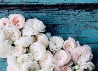 Happy Birthday Wiches : ❥●❥ ♥ ♥ ❥●❥