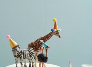 Birthday Cake : Cute Party Animal Cake, with Birthday Hats