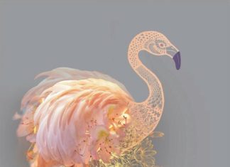 Birthday Inspiration: Happy Birthday