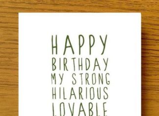 Happy Birthday Brother : Sweet Description Happy Birthday Brother by LittleMushroomCards
