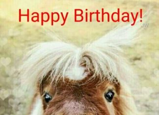 Happy Birthday Wiches : Happy Birthday :)