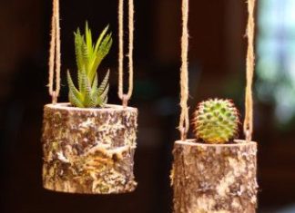 Birthday Gifts Inspiration : Colgante jardinera colgante en interiores rústicos suculentas by WoodlandFever …