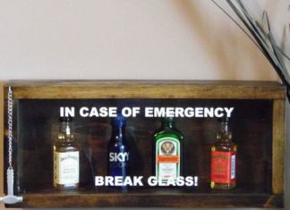 Birthday Gifts Inspiration : In Case of Emergency Break Glass, Mini Bar, Little Liquor Bottles, Liquor Drinke…