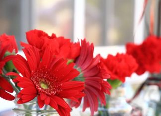 Birthday Gifts Inspiration : Ladybug decor – mason water filled with water and ladybugs & red gerberas with l…