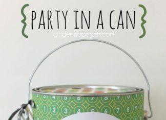 Birthday Gifts Inspiration : Party in a Can – Easy birthday gift idea for your college student with a free pr…