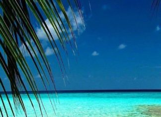 Happy Birthday Brother : Bildergebnis für happy birthday brother gif