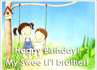 Happy Birthday Brother : Charming funny birthday wishes for younger brother Photos, sample funny birthday…