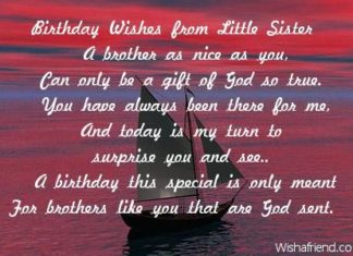 Happy Birthday Brother : Glorious happy birthday brother poems Snapshots, sample happy birthday brother p…