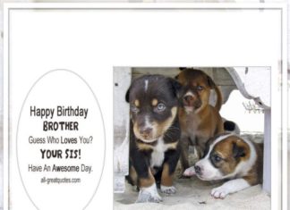 Happy Birthday Brother : Happy Birthday Brother – Guess Who Loves You? Your Sis. Have An Awesome Day | al…