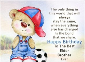 Happy Birthday Brother : Happy Birthday Brother quotes