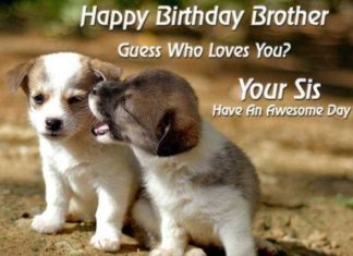 Happy Birthday Brother : Happy Birthday Brother quotes – Happy birthday bro