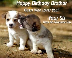 Happy Birthday Brother : Happy Birthday Brother. Guess Who LOVES YOU – Your Sis www.facebook.com/… www….