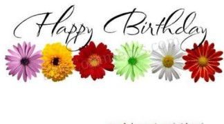 Happy Birthday Brother : Happy Birthday Flowers Friend